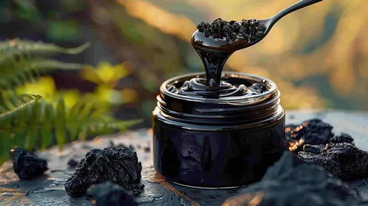 Himalayan Shilajit Resin